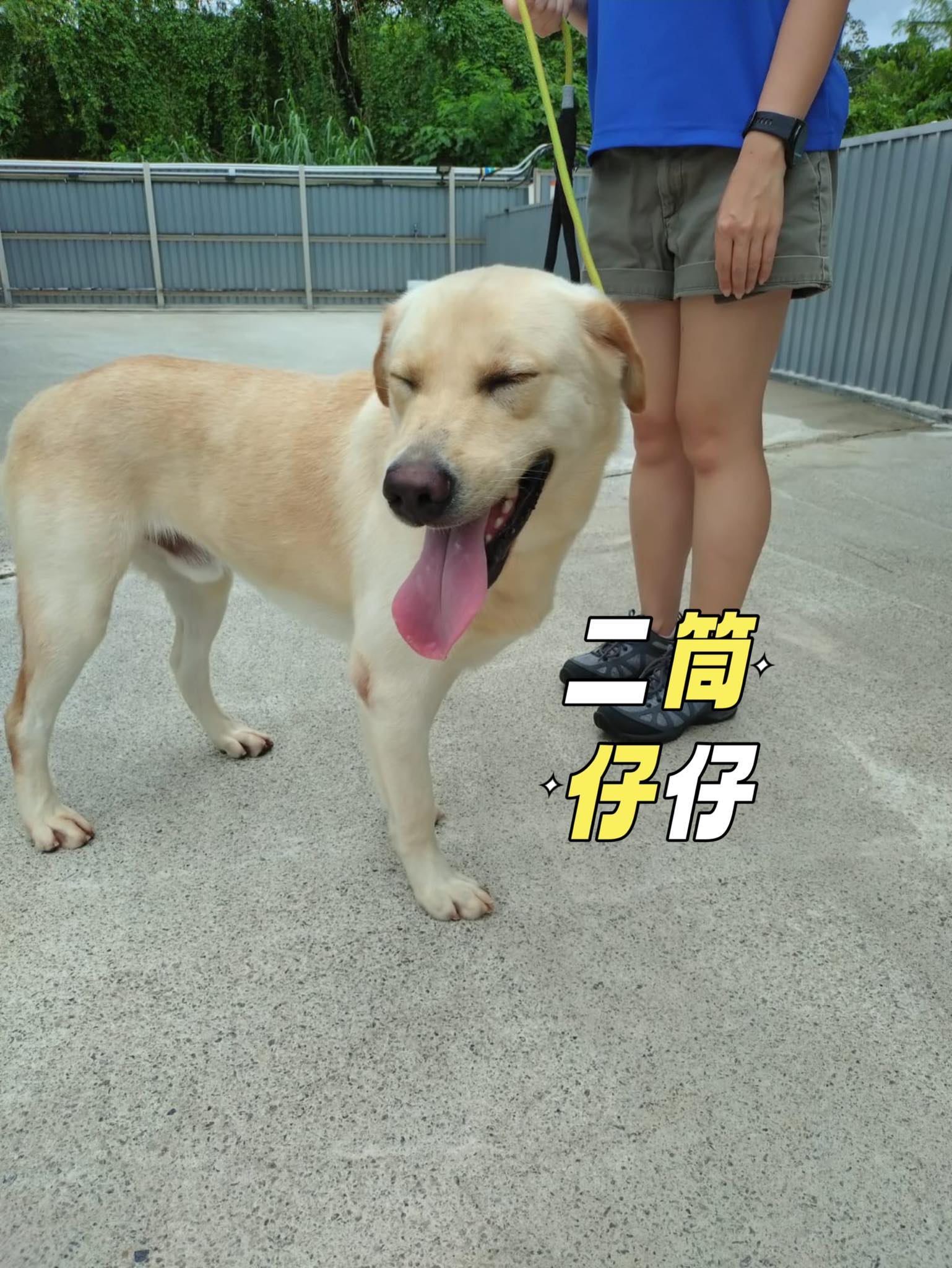 二筒